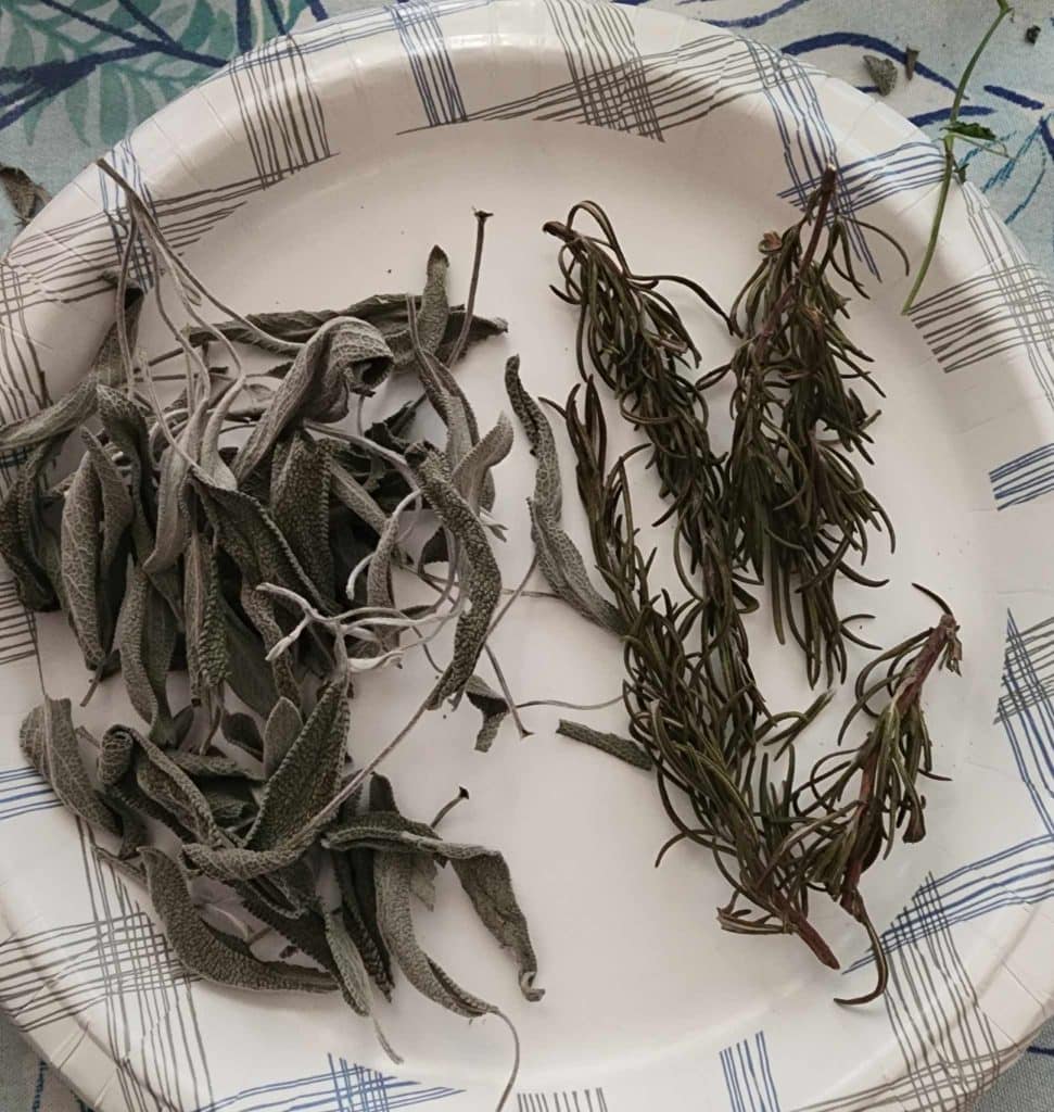 sage and rosemary dried leaves for sage and rosemary lotion bars