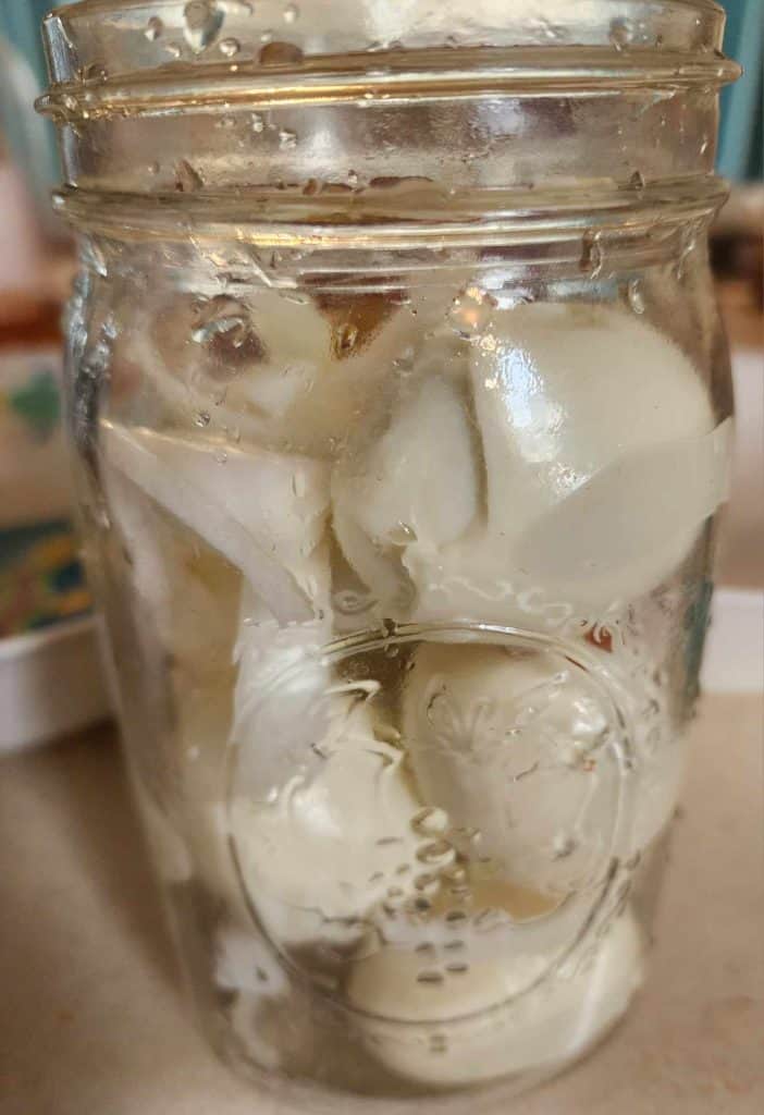 layering the eggs and onions for mustard pickled eggs