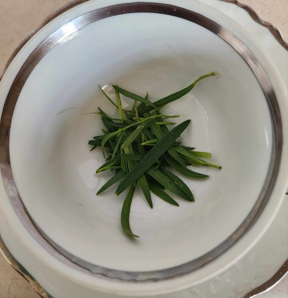 tarragon leaves in a tea cup to make tarragon tea