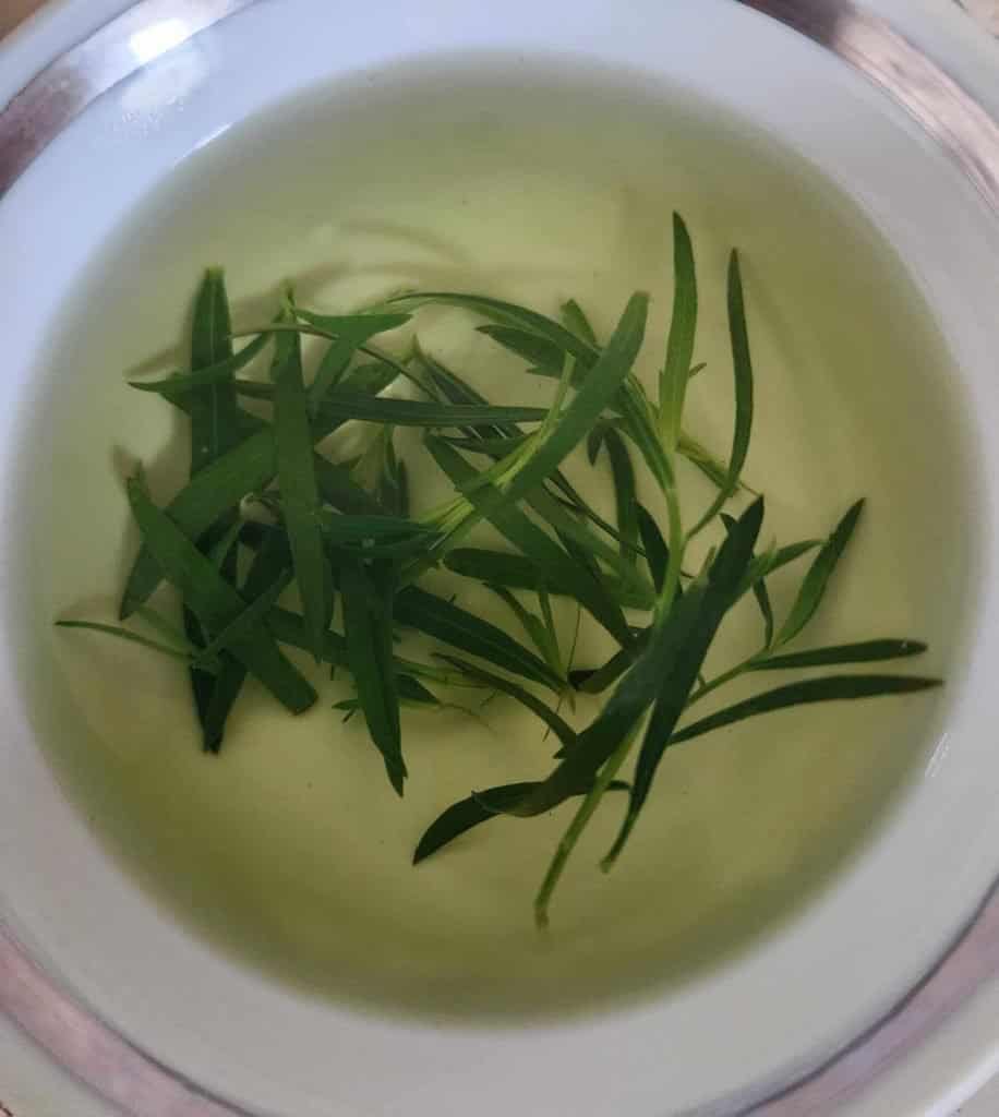 tarragon tea with hot water added