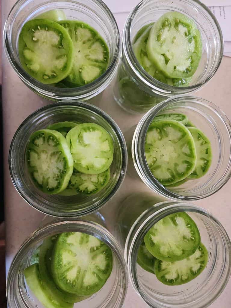 Slices of green tomatoes packed into canning jars for green tomato dill pickles