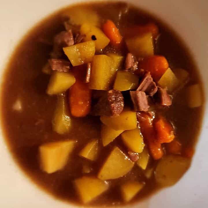 Bowl of instant pot beef stew