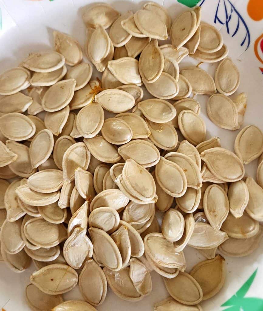 pumpkin seeds drying on a paper plate for roasting pumpkin seeds
