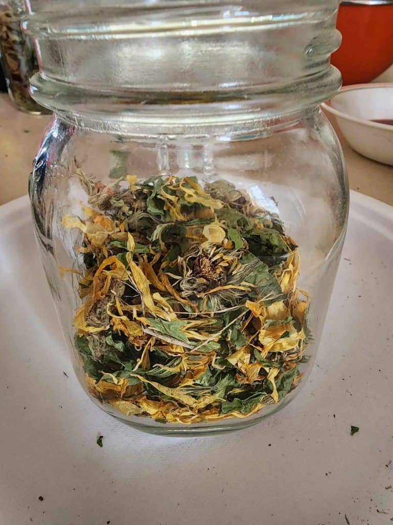 Dried calendula and plantain in a jar to make infused oil for salve