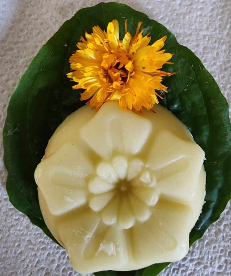 calendula and plantain lotion bar