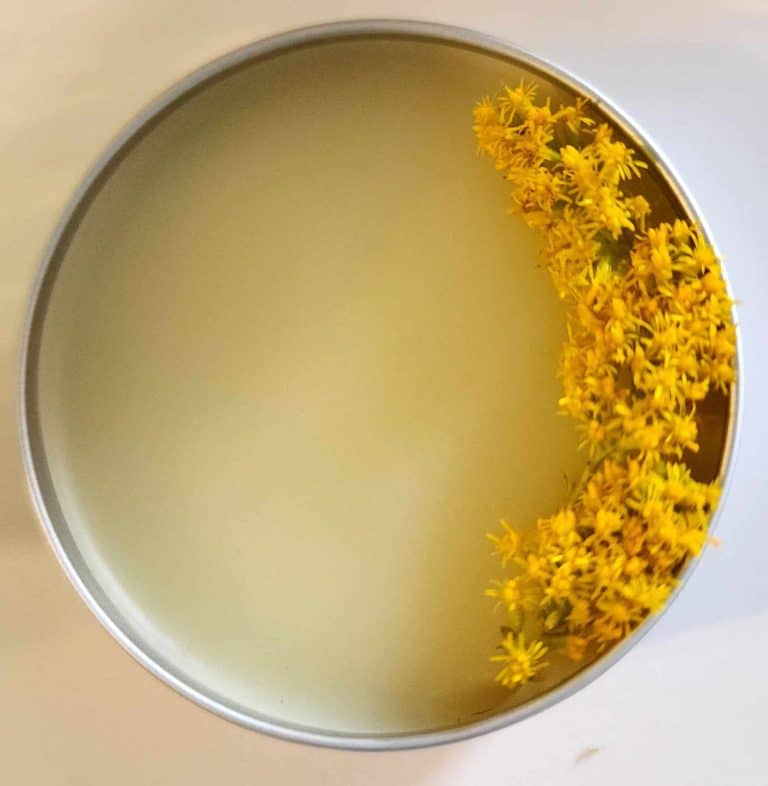 Goldenrod salve