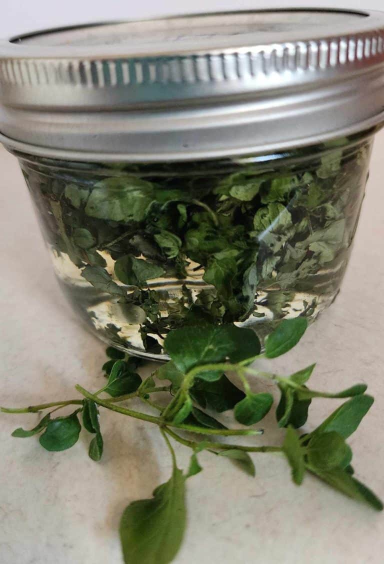 jar of homemade oregano oil