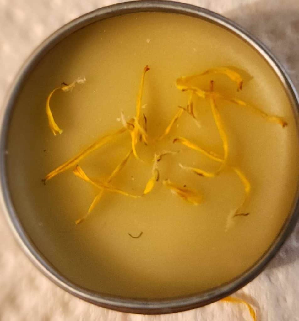 calendula lip balm