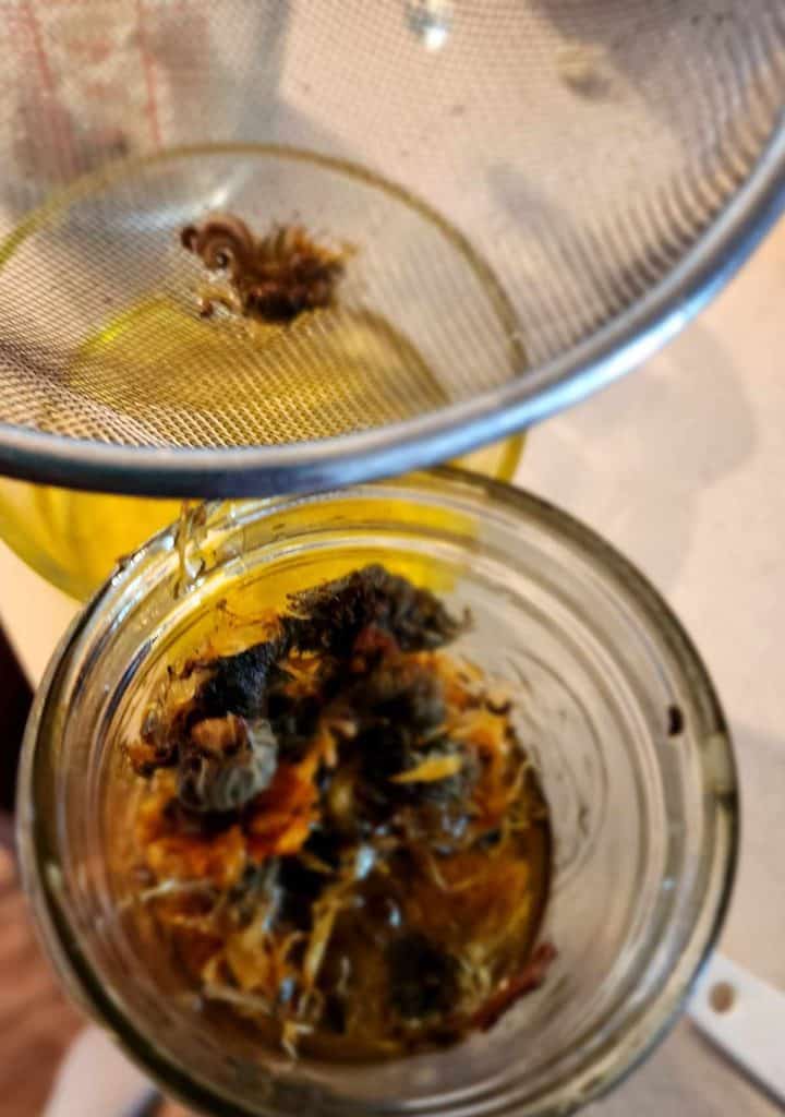 Straining the calendula oil