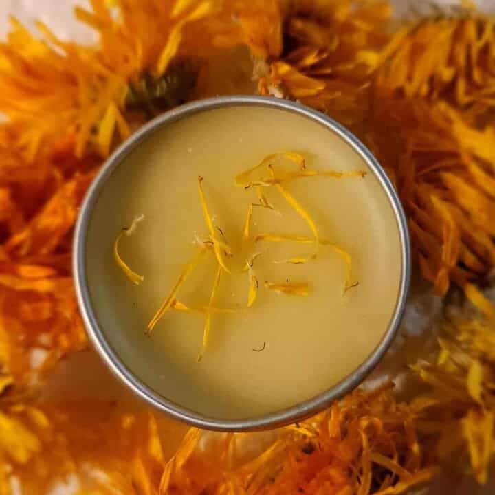 calendula lip balm
