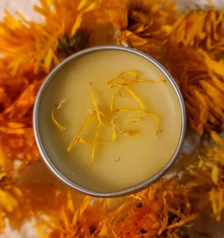 calendula lip balm