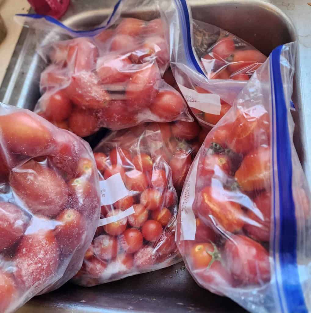 bags of frozen tomatoes placed in the sink to thaw
