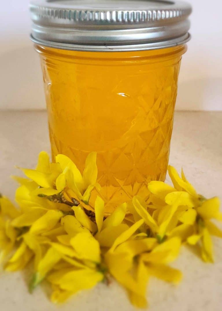 forsythia jelly with flowers