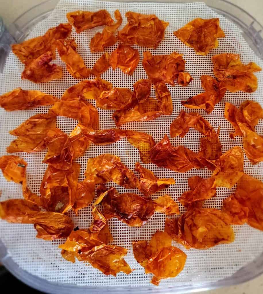 tomato skins on a dehydrator to make tomato powder