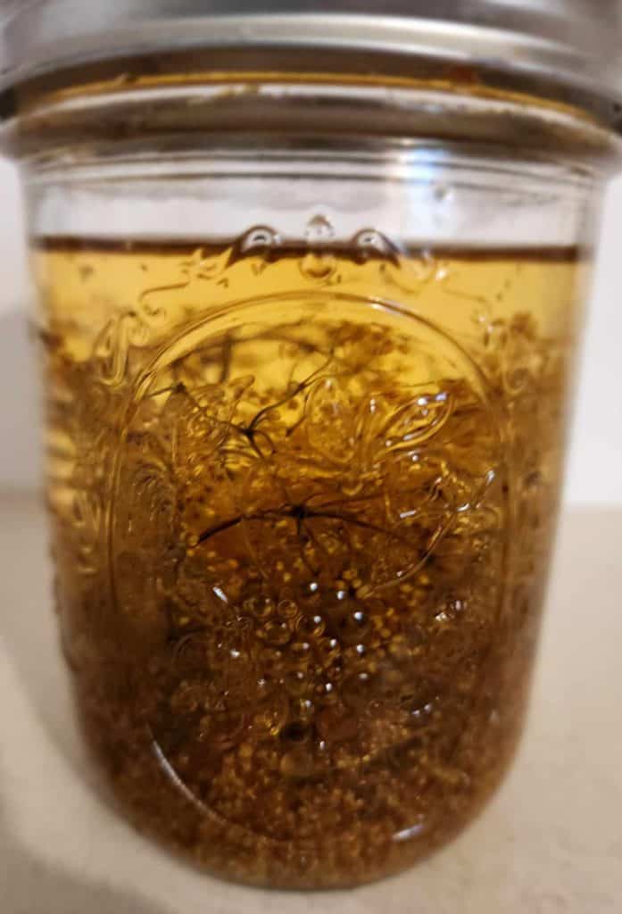 elderflower infused oil
