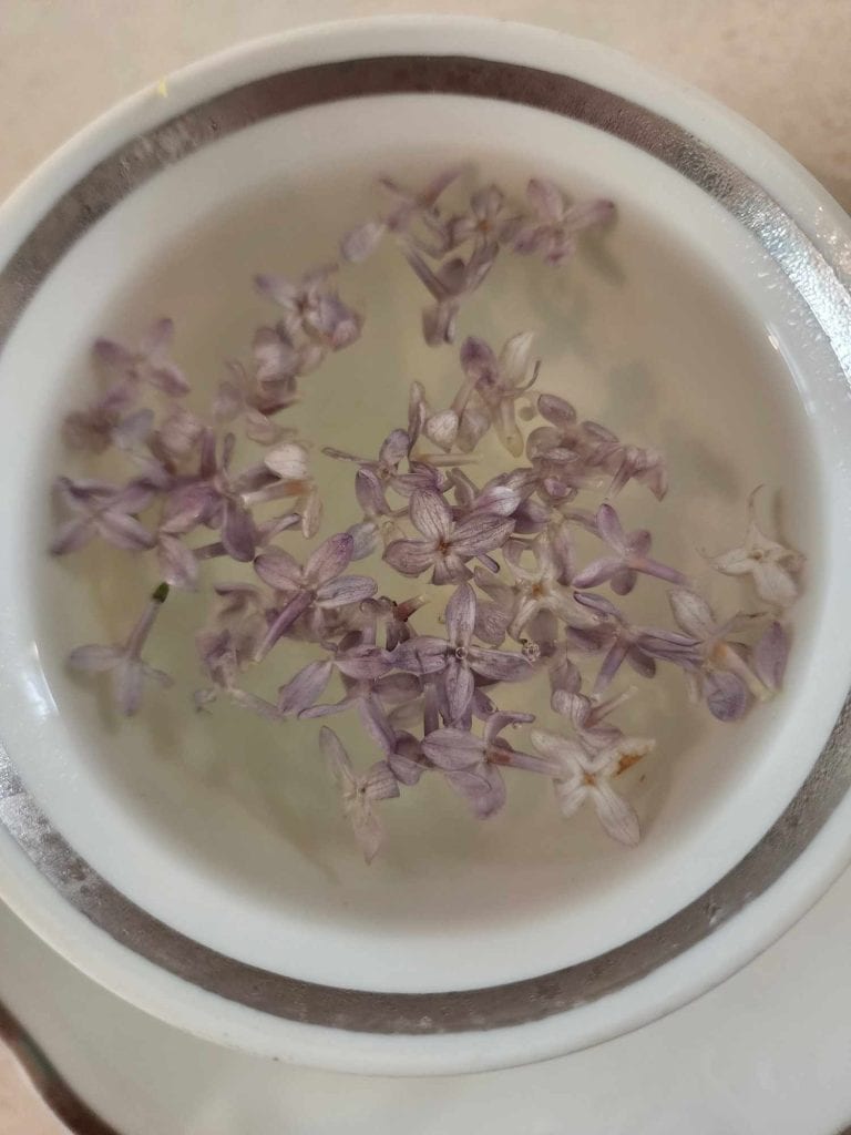 Cup of lilac tea with flowers