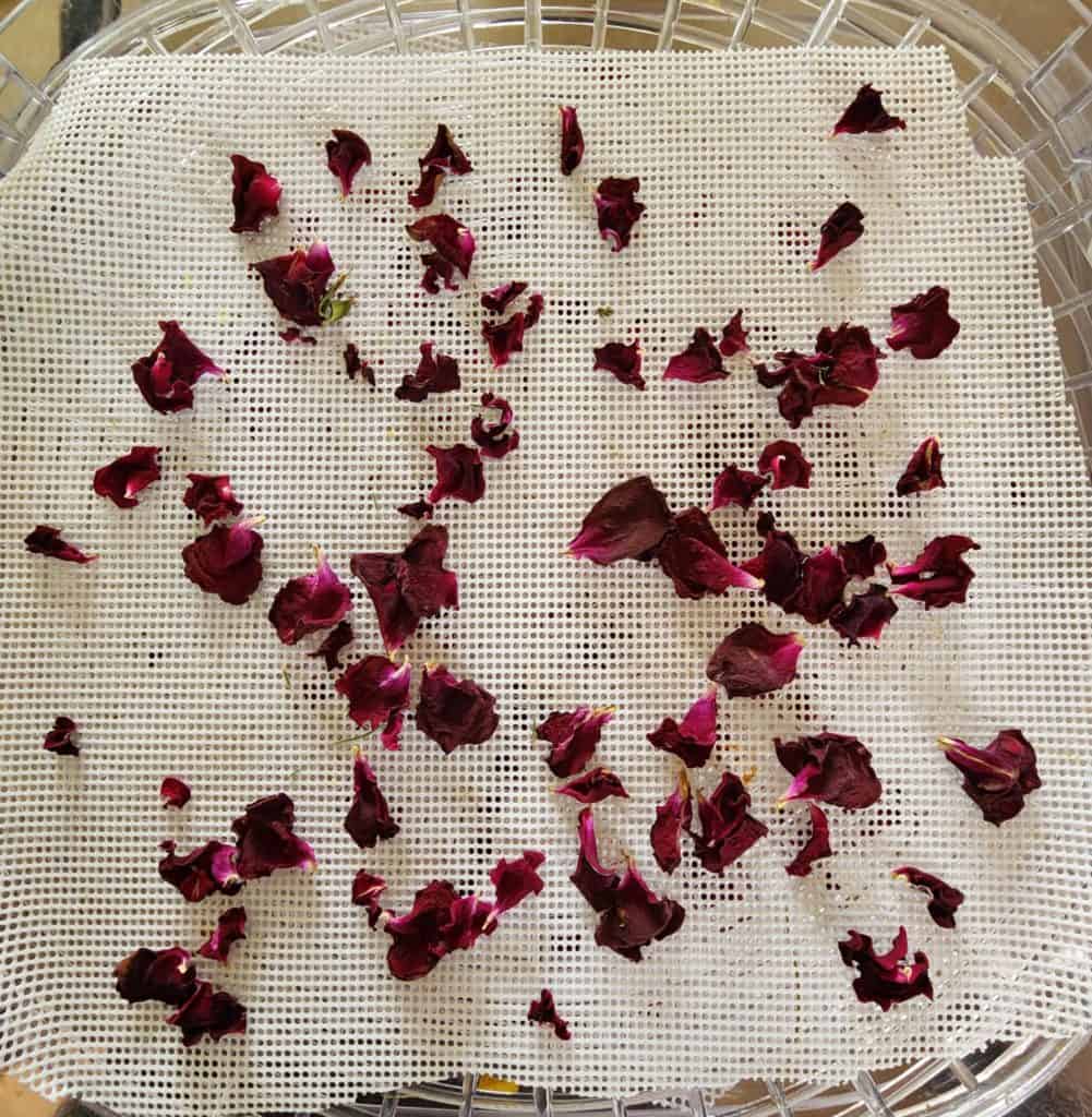 rose petals dried on deydrator