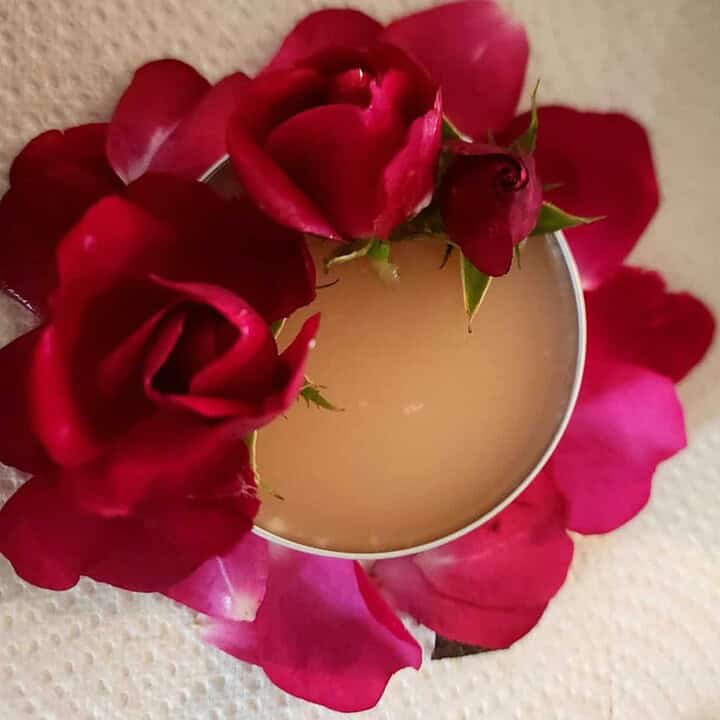 rose salve
