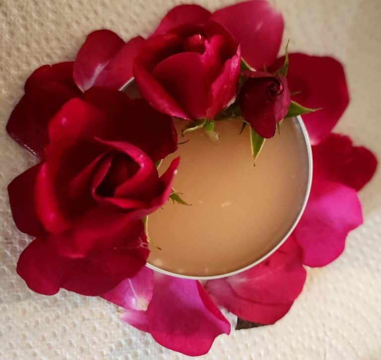 rose salve