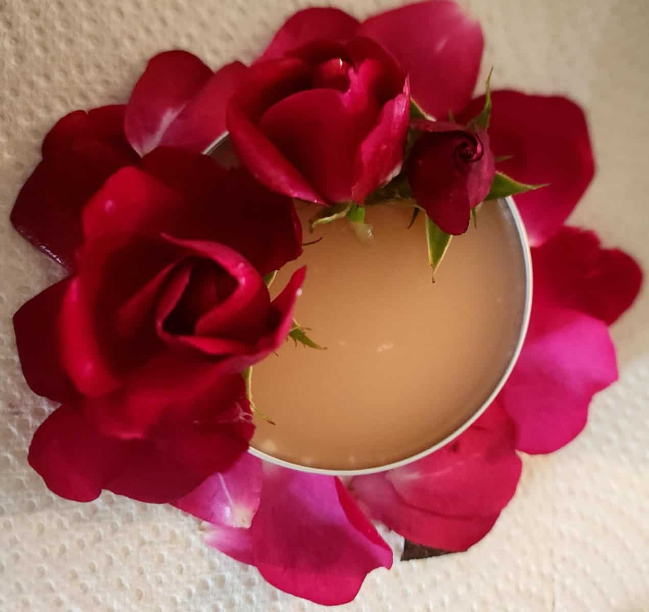 rose salve