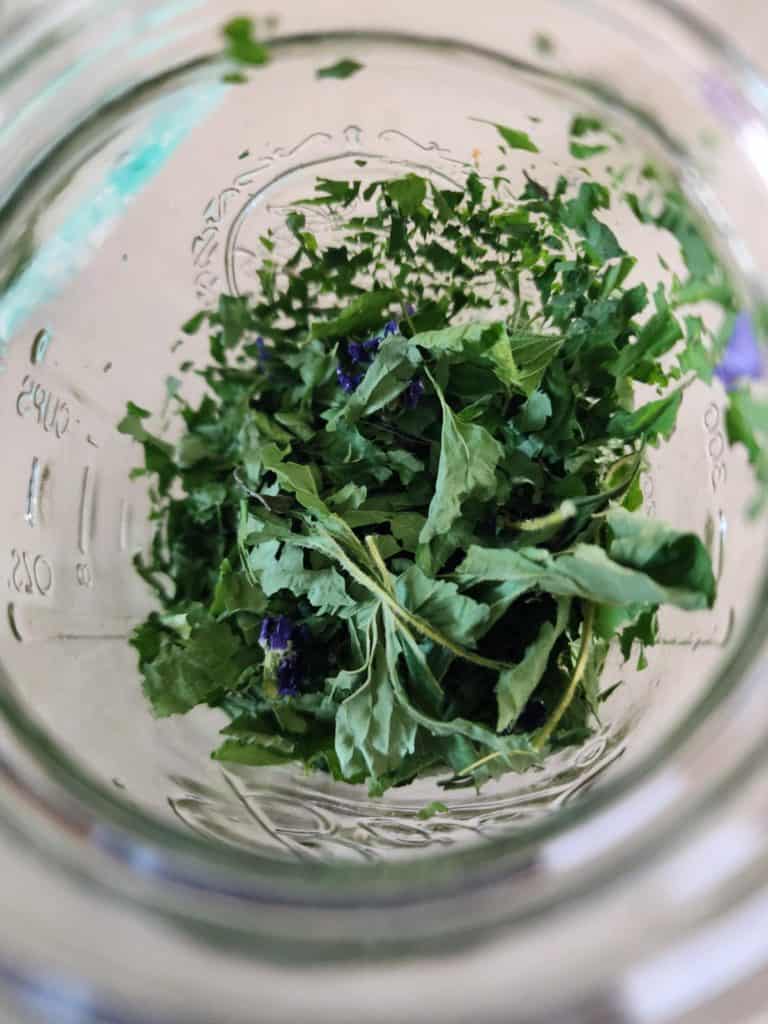 dried violet in jar to make violet oil