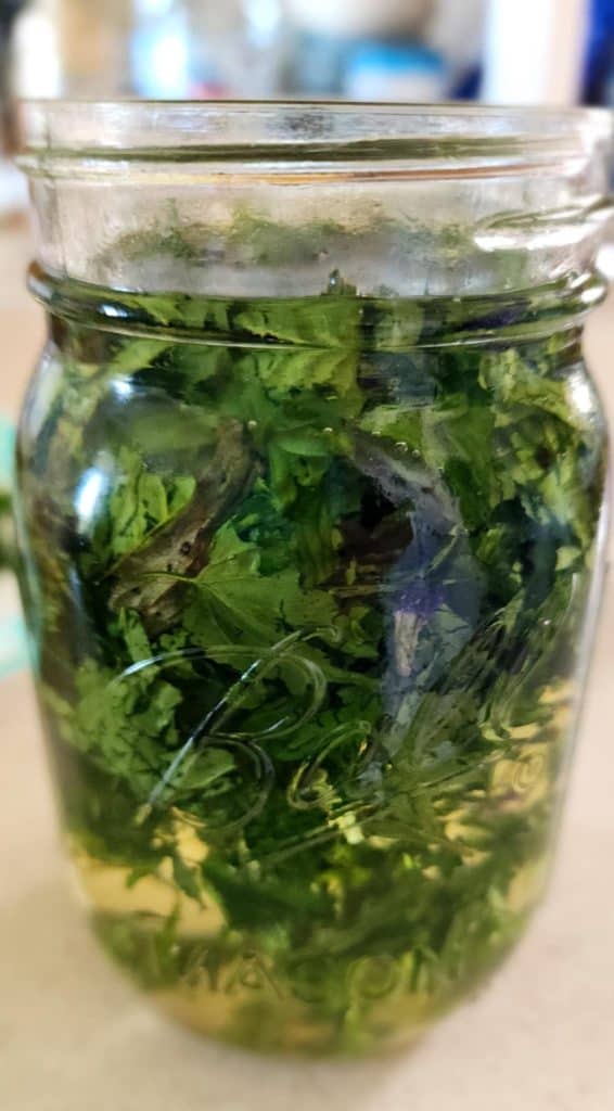 violet infused oil