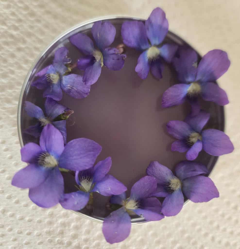 violet salve with violet flowers surrounding the outside