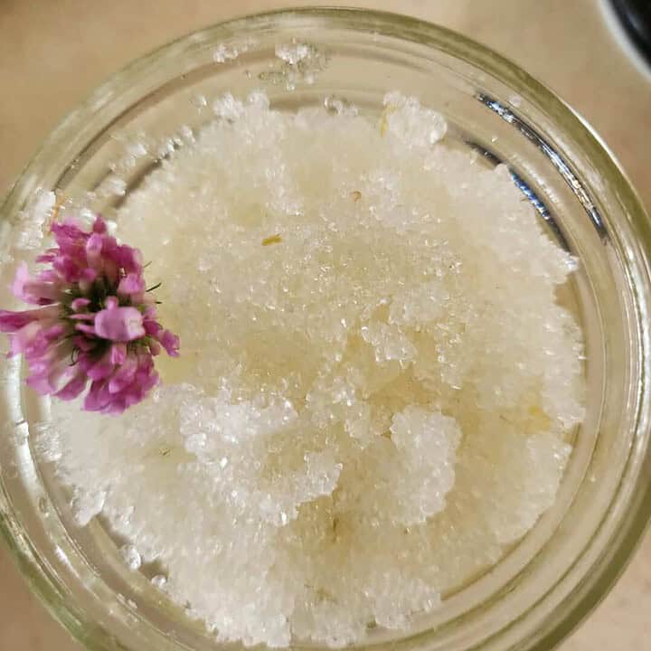 red clover salt scrub with the red clover flower
