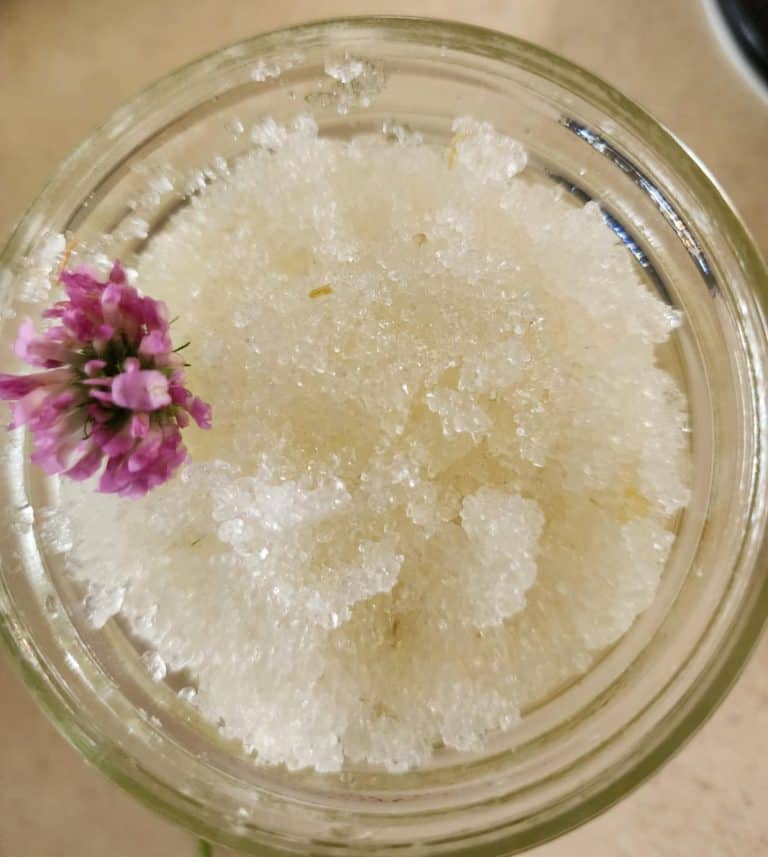 red clover salt scrub with the red clover flower