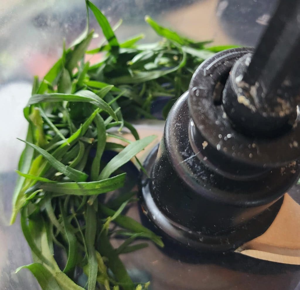 tarragon after chopping in food processor