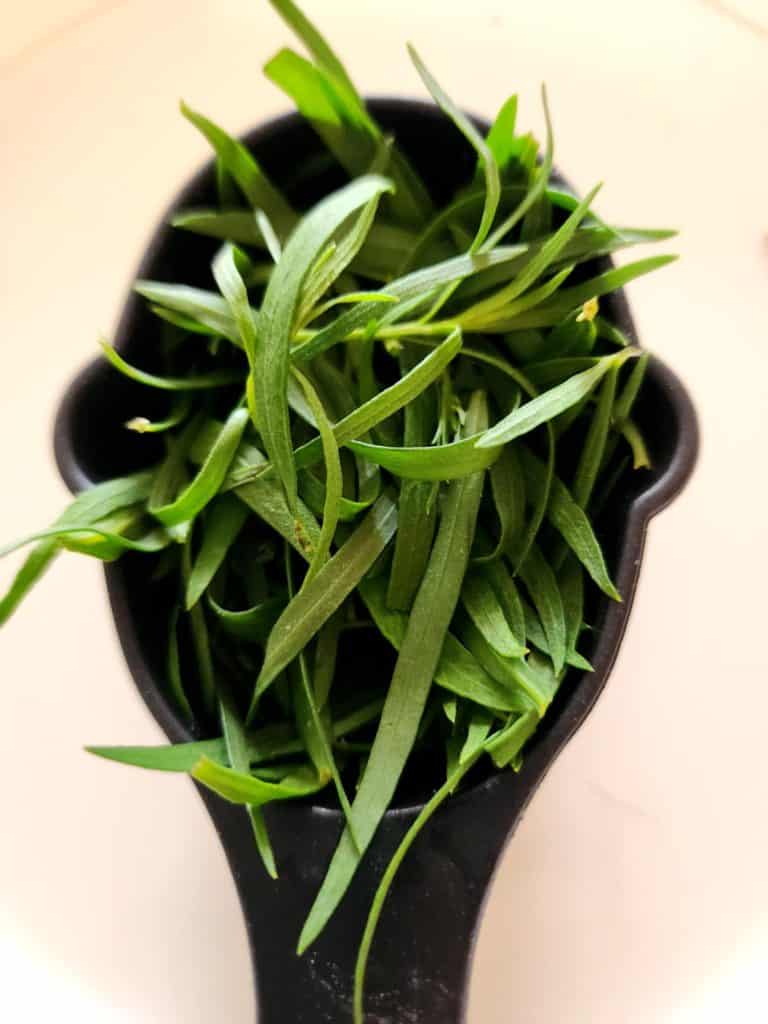 tarragon in measuring cup