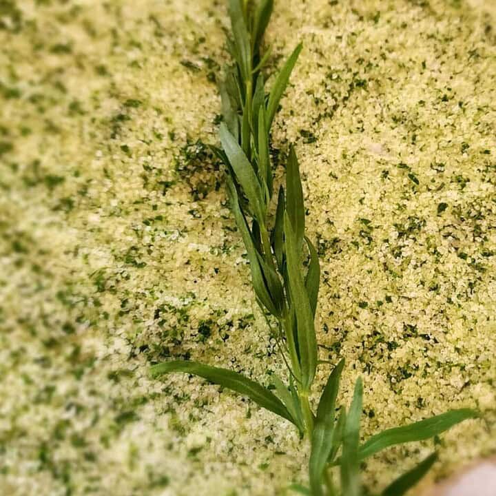 tarragon salt with stem of tarragon on top