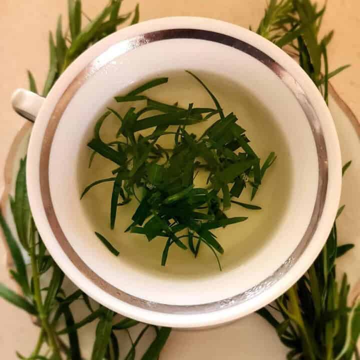 tarragon tea with tarragon stems and leaves on the saucer