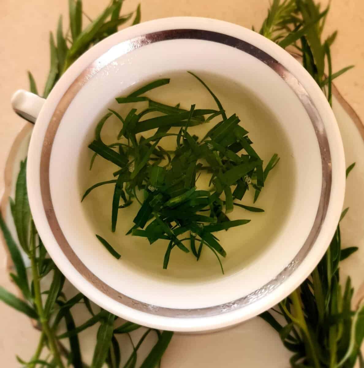 tarragon tea with tarragon stems and leaves on the saucer