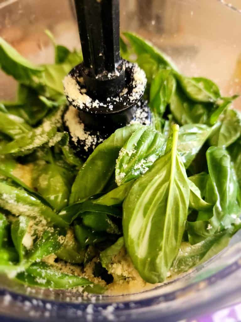 Mixing the ingredients for basil pesto in the processor before processing