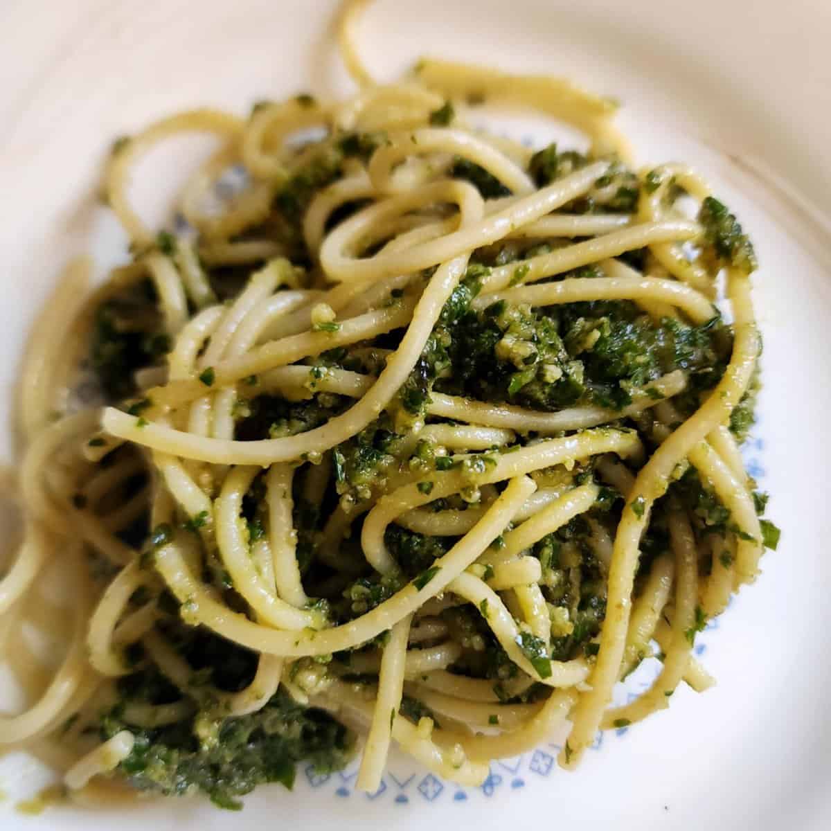 homemade basil pesto with noodles