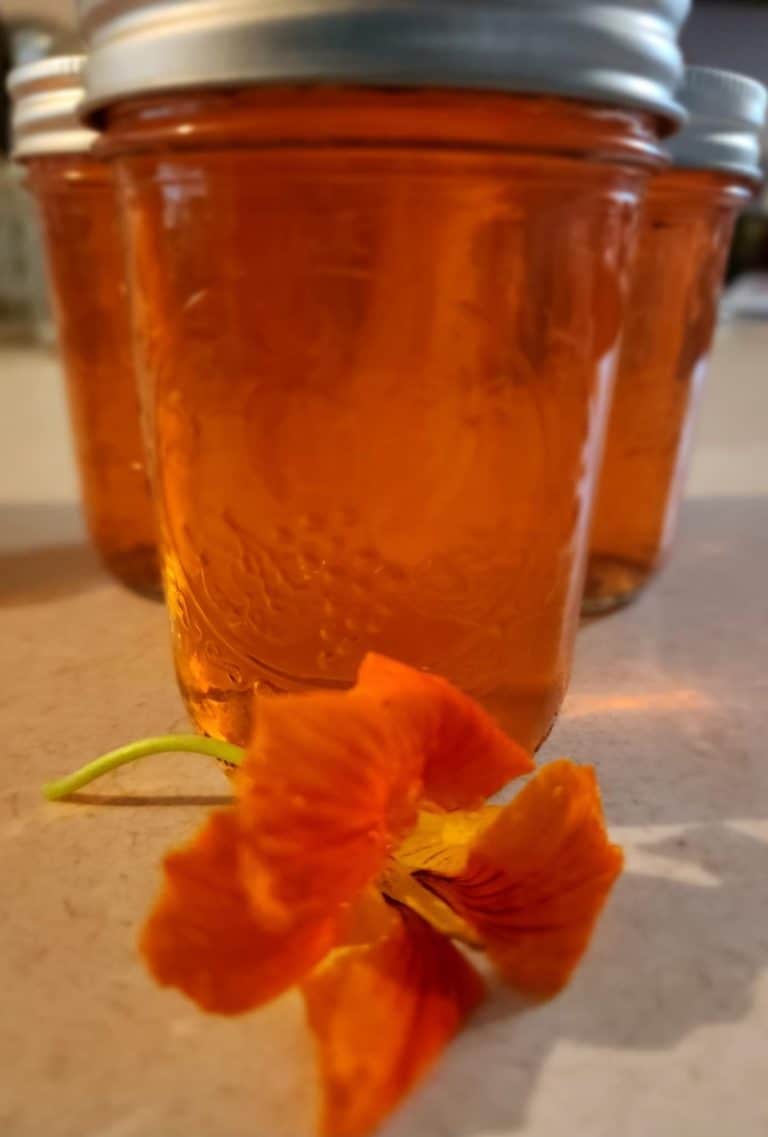 nasturtium jelly with flower