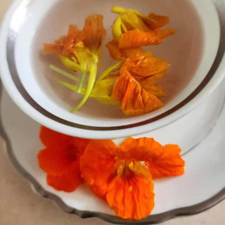 nasturtium tea