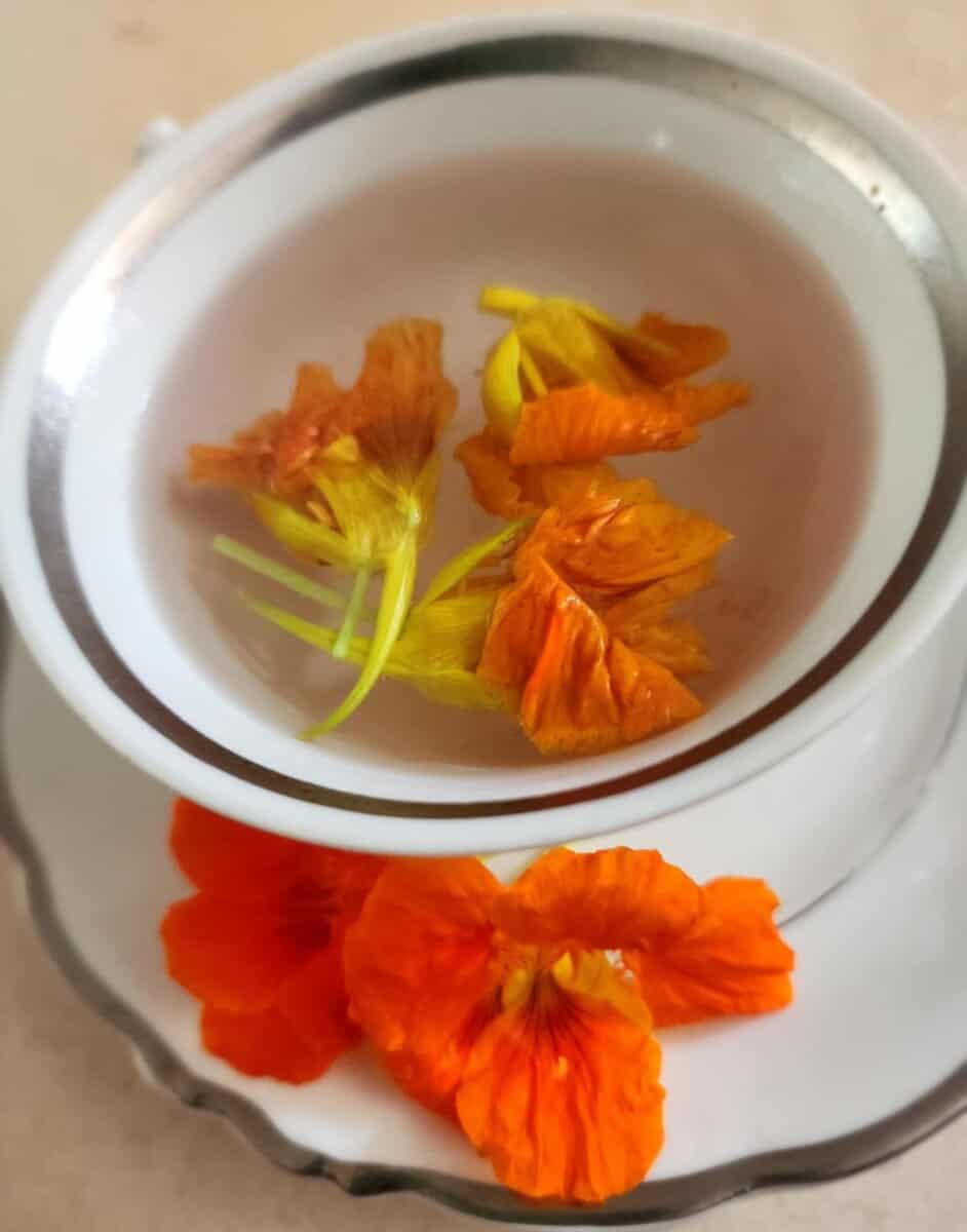 nasturtium tea