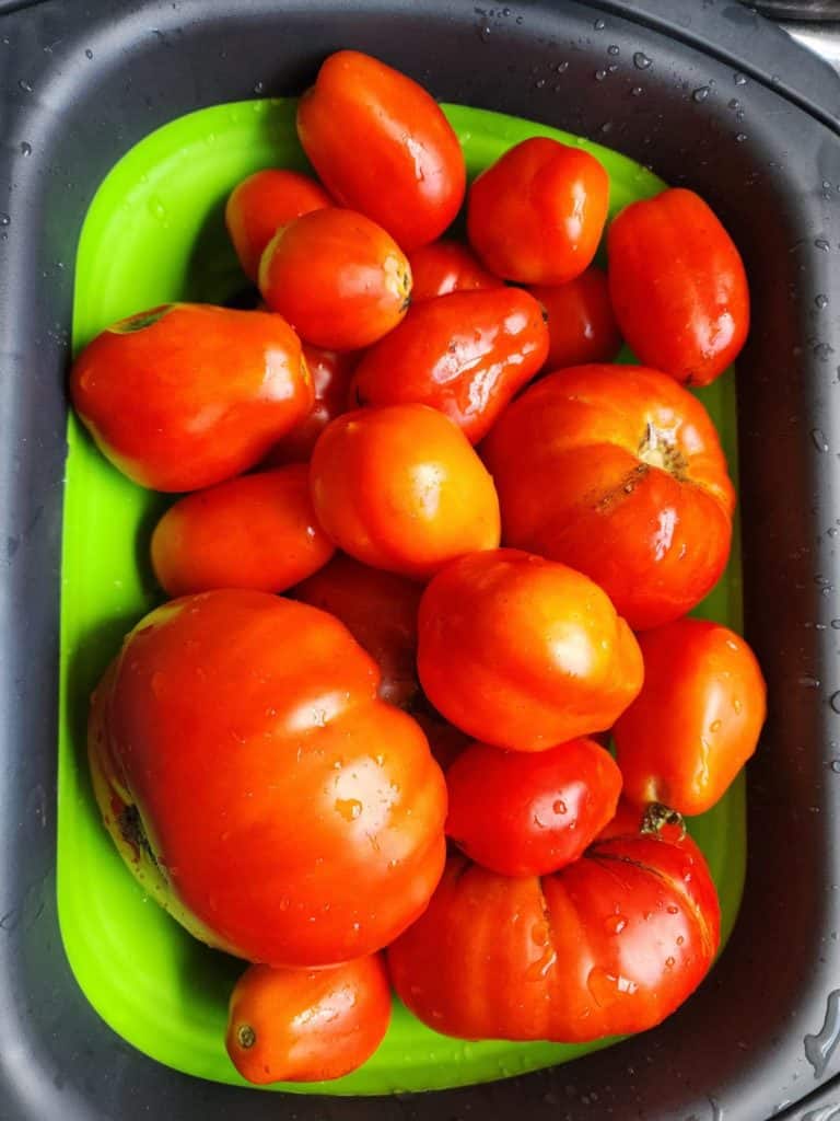 rinsing tomatoes for making diced canned tomatoes