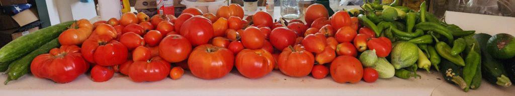 tomatoes