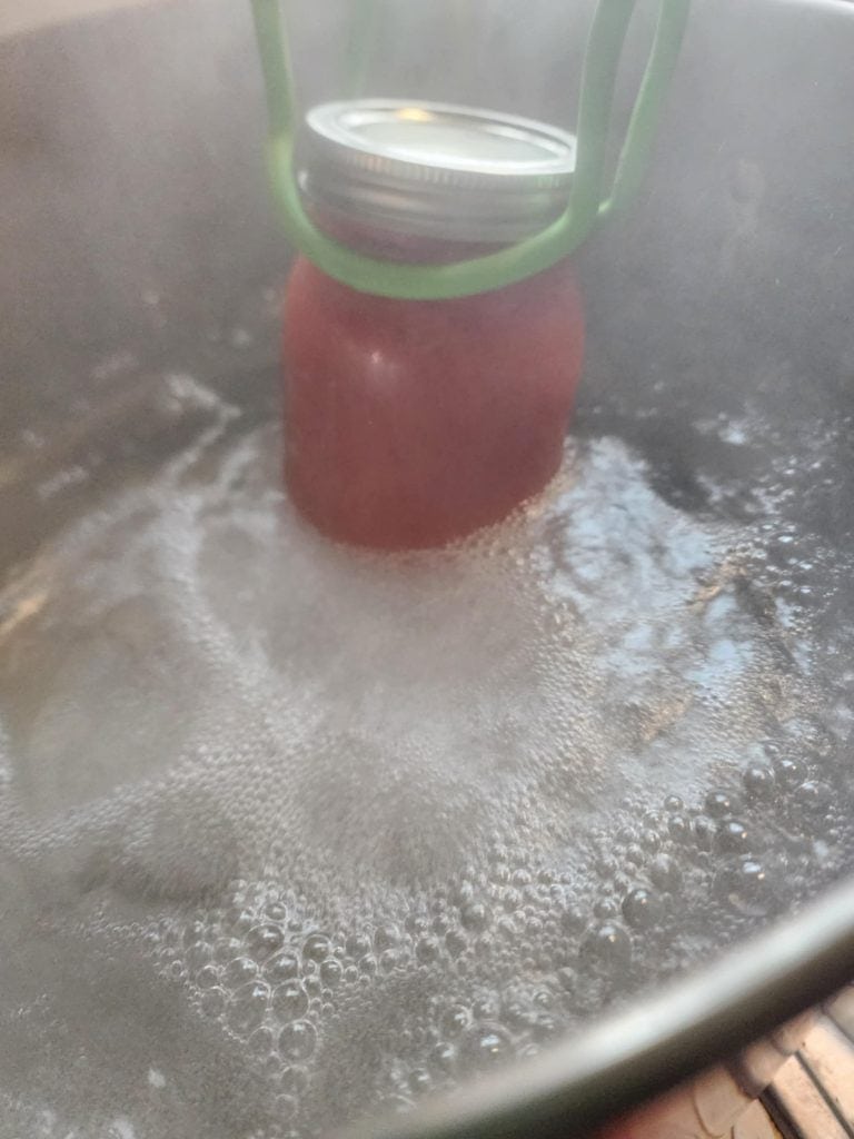 adding jars of tomato juice to water bath for canning