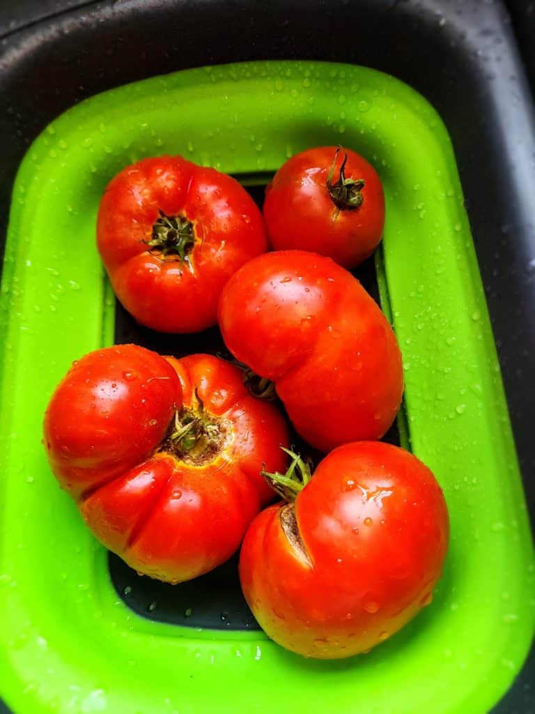 Rinsing tomatoes to make tomato juice