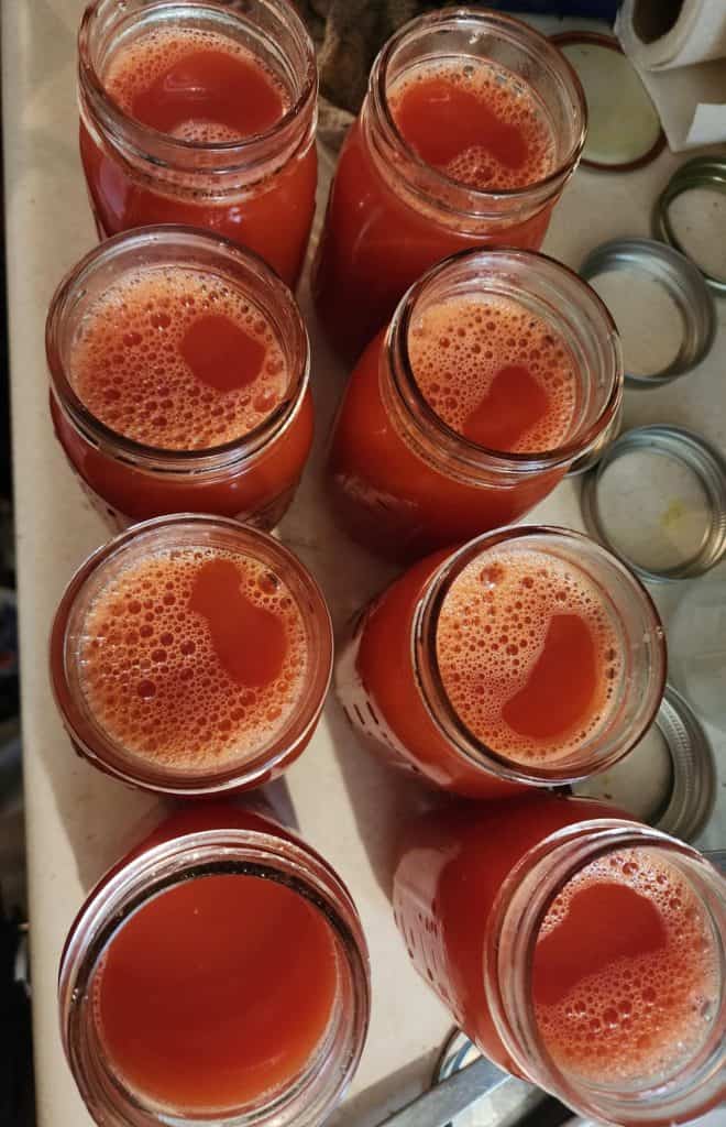 top of jars of 8 jars of tomato juice for canning