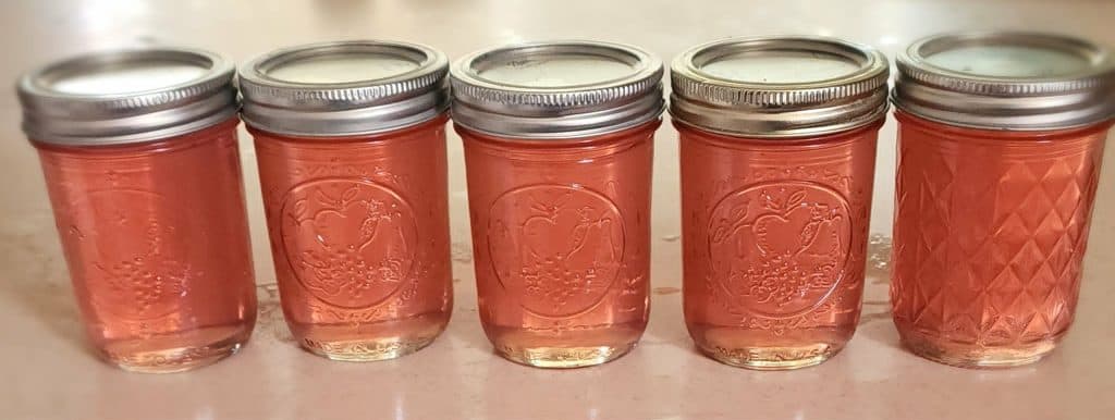 5 jars of Bee Balm jelly
