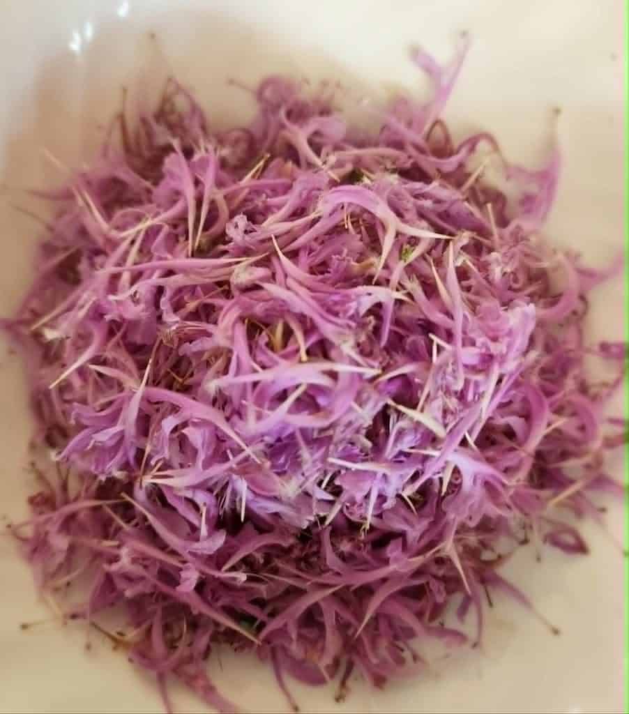 bee balm petals separated for jelly to make bee balm jelly