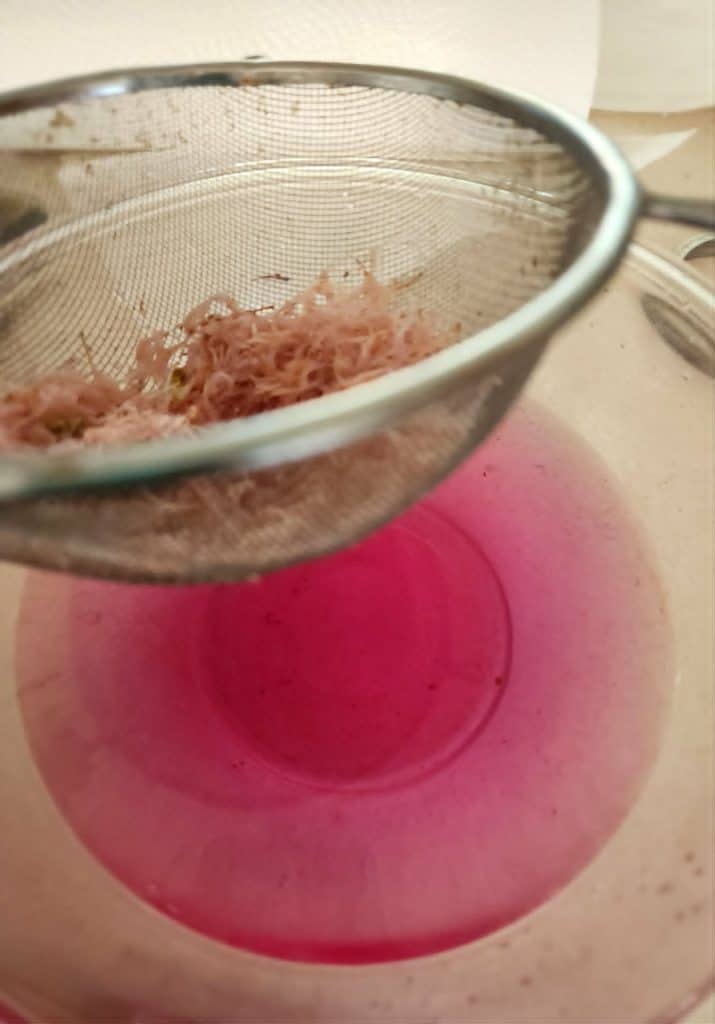 Bee balm petals straining from Bee Balm tea