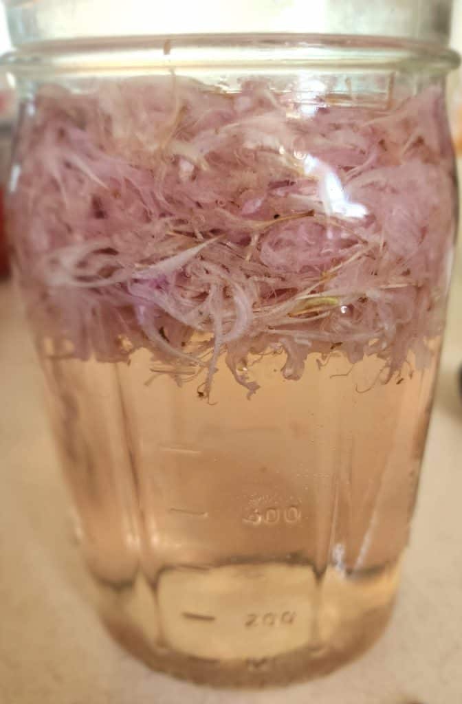 Bee Balm after adding lemon juice for Bee Balm jelly