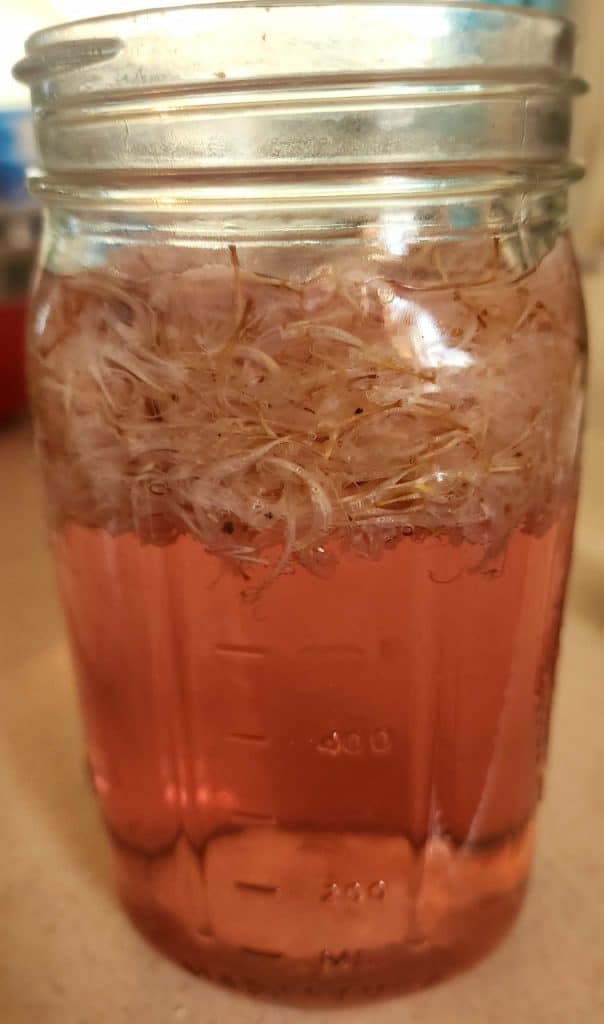 bee balm infusion after cooling to room temperature for bee balm jelly