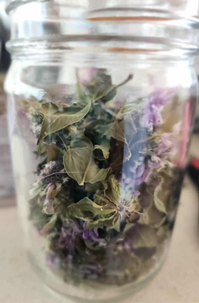 dried bee balm flowers and leaves in jar